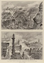 The Great Fire in the City, Bird